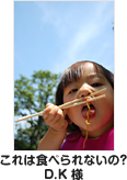 これは食べられないの? D.K様