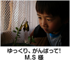 ゆっくり、がんばって! M.S様
