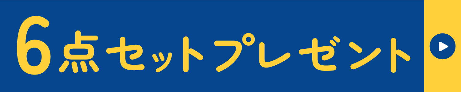 6点セットプレゼント