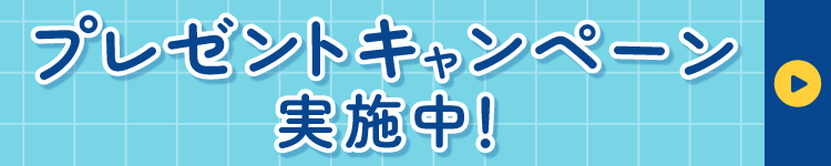 キャンペーン実施中