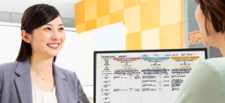 女性が保険の説明をしている写真