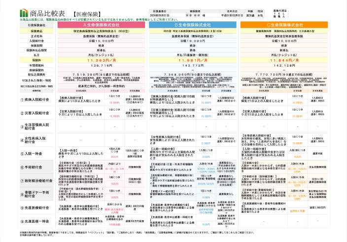 まるわかりシートの例