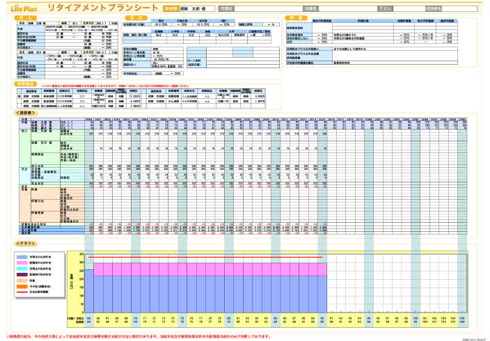 まるわかりシートの例