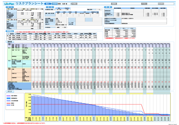 まるわかりシートの例