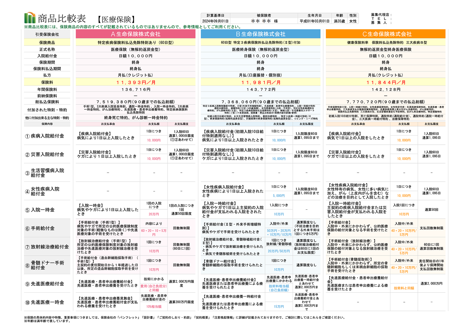 まるわかりシートの例