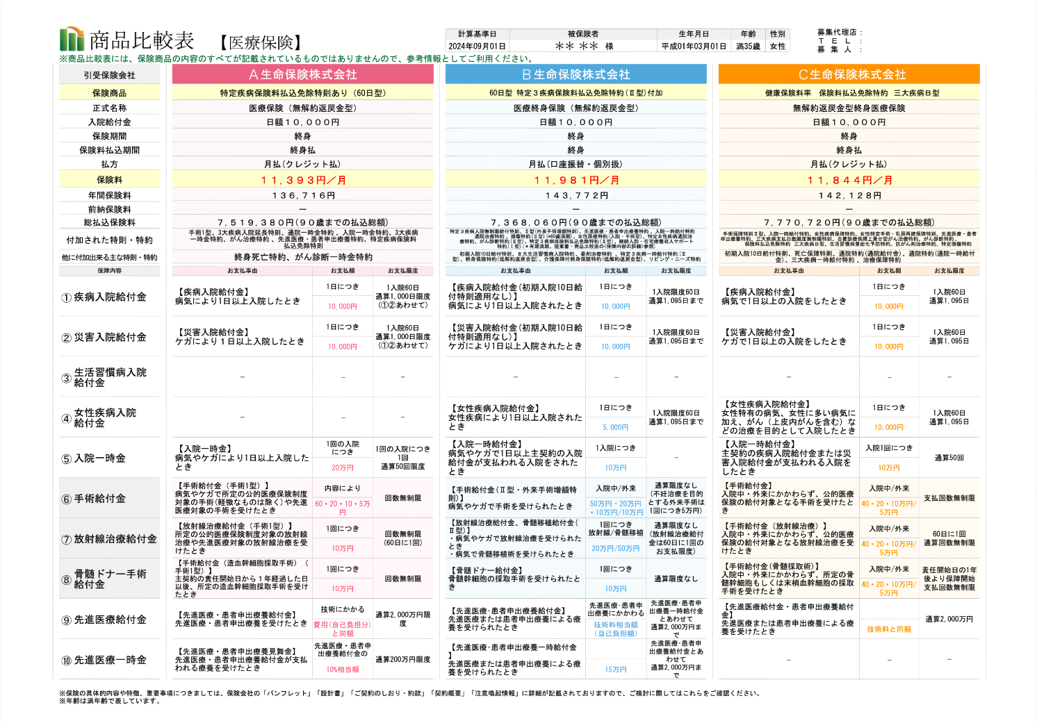 まるわかりシートの例