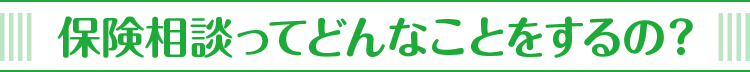 保険相談ってどんなことをするの？