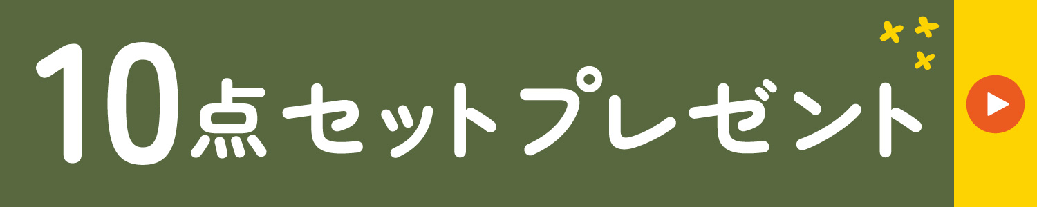 9点セットプレゼント