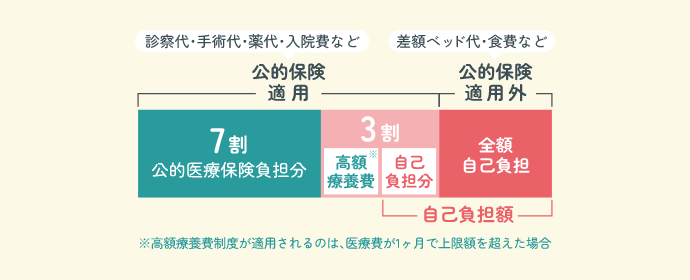 公的医療保険の適用範囲
