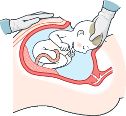 赤ちゃんの誕生