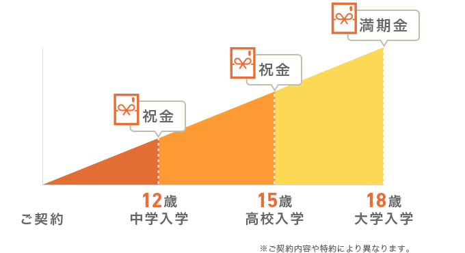 Type1　貯蓄型の学資保険イメージ