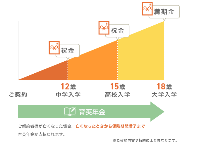 Type2  保障型の学資保険イメージ