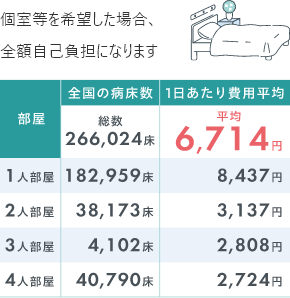 治療費以外でかかる費用の例