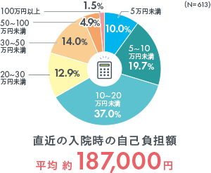治療費以外でかかる費用の例