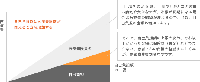 自己負担額は医療費総額が増えると当然増加する